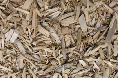 biomass boilers Ravenshead