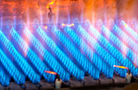 Ravenshead gas fired boilers